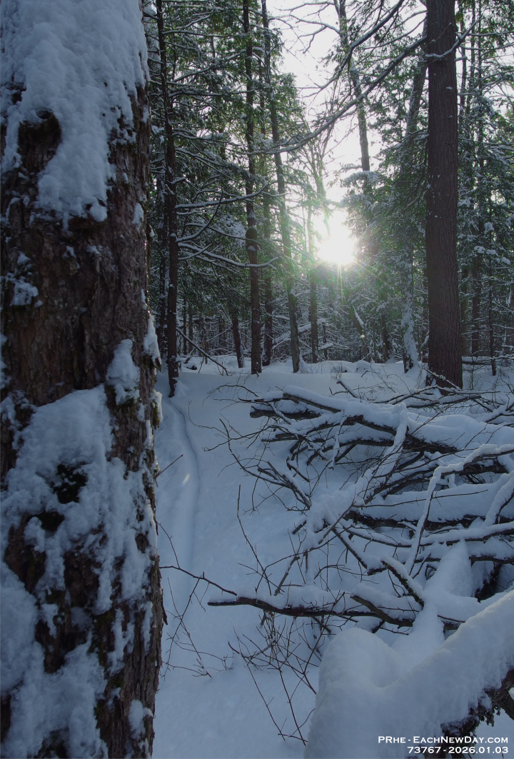 73767PeCrLe - Snowshoeing with John - Deb